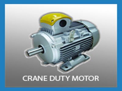 Crane Duty Motors